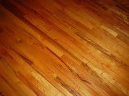 termite damage to your wooden floor