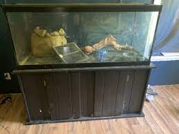 75 gallon fish tank with stand ebay