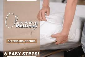 how to get puke smell out of mattress