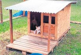 » cuando tienes un perro se generan múltiples inquietudes acerca de cómo preparar la casa para recibir al nuevo integrante de la familia. Casa Para Perros Recicladas Buscar Con Google Corral Para Perros Casas Para Perro Recicladas Espacios Para Perros