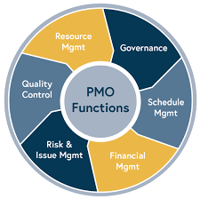Case Study] Program Management Office (PMO) Support