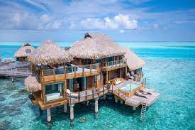 We did not find results for: Facts About Overwater Bungalows 20 Interesting Facts You Didn T Know
