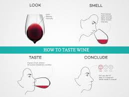 How To Taste Wine And Develop Your Palate Wine Folly