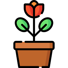 Flower Pot Special Lineal Color Icon