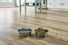 flooring options for homes with pets