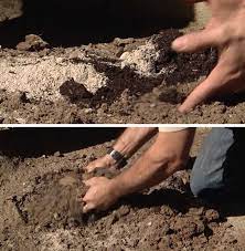 How To Amend Clay Soil The
