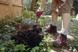 garden manure types and composting tips