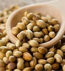 Cumin is a crucial ingredient in several cumin seeds are used in almost every indian recipe. Indian Spices Coriander Seeds Exporter From Ahmedabad