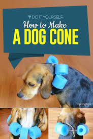 how to make a dog cone a simple diy guide