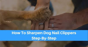 how to sharpen your dog nail clippers