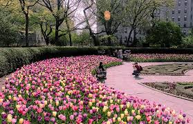 Ny Spring Explodes In The Conservatory