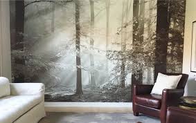 Wall Murals For Living Room 8