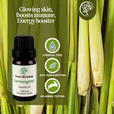 lemongr essential oil green herbology