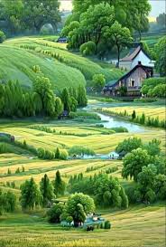 green nature wallpaper images 𝘕𝘪𝘳𝘶
