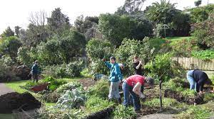 food forest case study blagdon