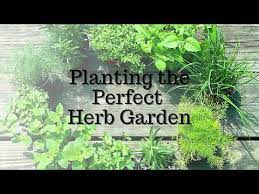 Perfect Herb Garden In Central Florida
