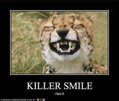 Some Big Cat Funny Memes: Lions, Tigers, Cheetahs | BigCatHabitat ... via Relatably.com