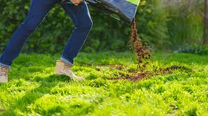 can you add peat moss to your lawn