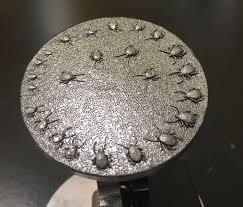 Tick Sample For Environmental Scanning Electron Microscopy
