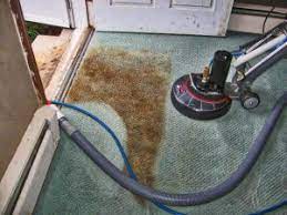 top 5 carpet cleaning hacks