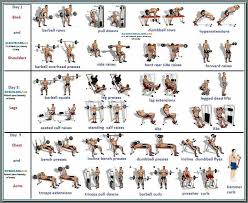 Barbell Workout Building Workouts