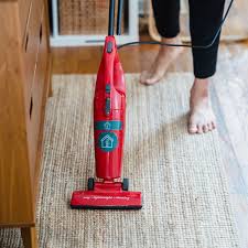 how to vacuum ants out of carpet the