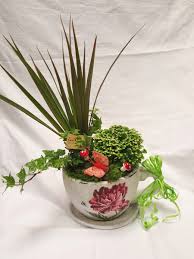 Ако искате да направите двоен цветен подарък, поръчайте цветя в саксия. Kanada Bezpolezen Instanciya Saksijni Cvetya Za Podark Pleasure Travel It