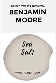 Benjamin Moore Sea Salt The Zhush