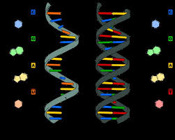 Y si usamos el ADN como si fuera un disco duro?