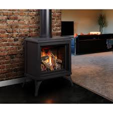 Free Standing Gas Fireplace Direct Vent