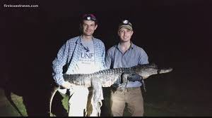 UNF study finds small population of alligators in Jacksonville |  firstcoastnews.com