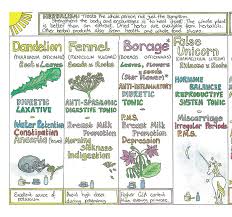 A Womans Healing Herbs Chart