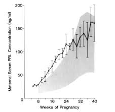 Prolactin And Pregnancy Sciencedirect