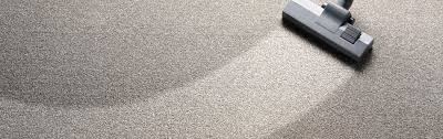 apex carpet cleaning client reviews