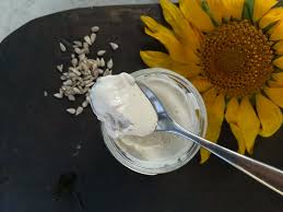 creamy vegan yogurts in a yogurt maker