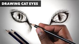 25 easy cat eye drawing ideas how to