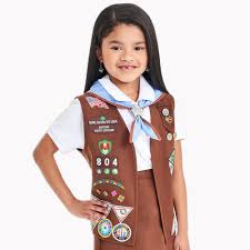 Official Brownie Vest