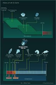 The Tree Of Life Origin Of Animals And The Cambrian