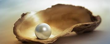 Image result for Pics of Pearls.