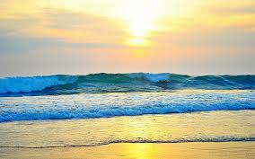 Image result for image of beach