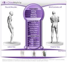Chiropractic Websites And Marketing Services Chiromatrix