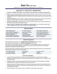 5 6 Sales Manager Resume Examples Salescv Info