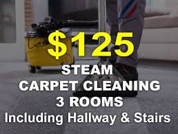 lookout carpet cleaning and restoration