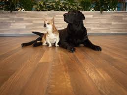 hardwoof wood flooring line for pet