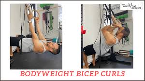 the calisthenics bicep workout 7 best