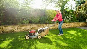 Everything You Need To Know About Buying A Lawn Mower