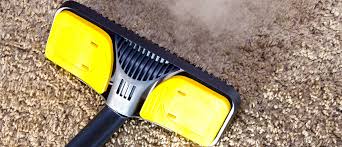 carpet cleaning service greater seattle