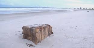 Resultado de imagem para caixas misteriosas aparecem em praias do nordeste