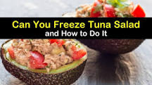 Can homemade tuna salad be frozen?