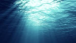Collection by coreen • last updated 5 hours ago. Underwater Light Creates A Beautiful Stock Footage Video 100 Royalty Free 1026007862 Shutterstock